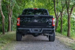 2025 Ford F-150 Platinum 3.5 V6 Ecoboost by Fioravanti Motors