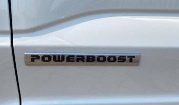 Ford F Limited Powerboost bianco Italia