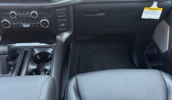 FORD F 150 5.0 V8 LARIAT BLACK APPEARANCE PKG