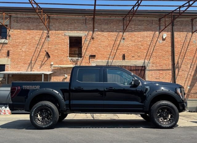 FORD F 150 TREMOR 3.5L ECOBOOST TWIN TURBO V6