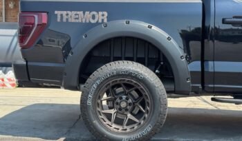 FORD F 150 TREMOR 3.5L ECOBOOST TWIN TURBO V6
