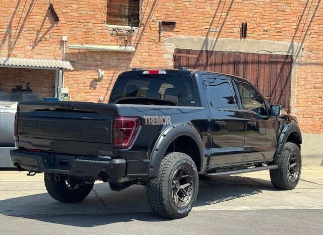 FORD F 150 TREMOR 3.5L ECOBOOST TWIN TURBO V6