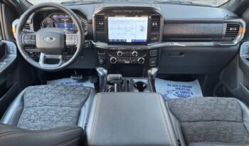 FORD F 150 TREMOR 3.5L ECOBOOST TWIN TURBO V6