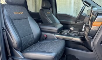 FORD F 150 TREMOR 3.5L ECOBOOST TWIN TURBO V6