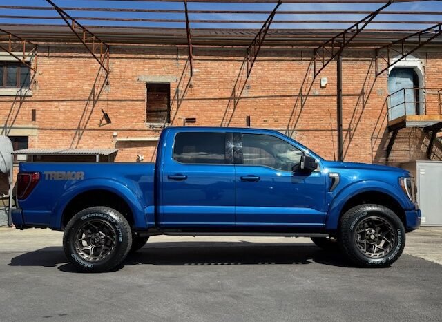 FORD F 150 TREMOR 3.5L ECOBOOST TWIN TURBO V6