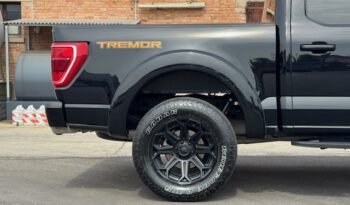 Ford F 150 TREMOR CREW CAB 4x4 OFF ROAD
