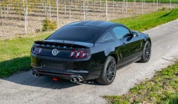 Shelby GT500 2013 (16)