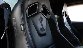 Shelby GT500 2013 (20)