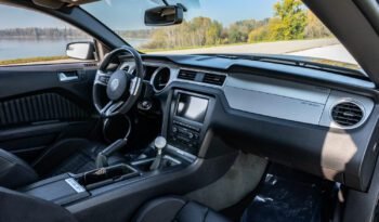 Shelby GT500 2013 (21)