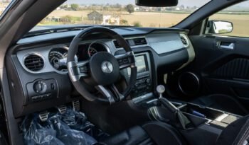 Shelby GT500 2013 (22)