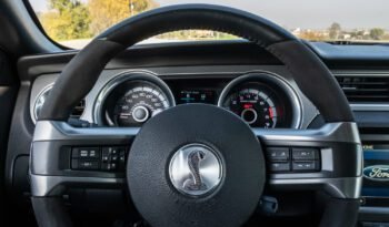 Shelby GT500 2013 (23)