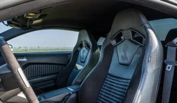 Shelby GT500 2013 (29)