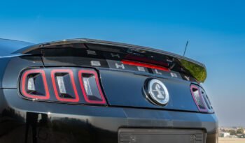 Shelby GT500 2013 (33)