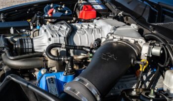 Shelby GT500 2013 (36)