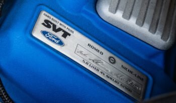 Shelby GT500 2013 (37)