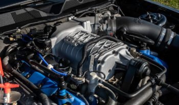 Shelby GT500 2013 (38)