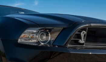 Shelby GT500 2013 (45)