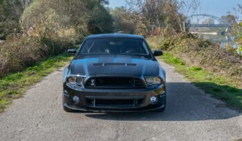 Shelby GT500 2013 (7)