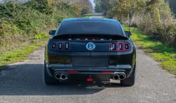 Shelby GT500 2013 (8)