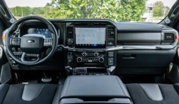 Ford F-150 Raptor con Raptor 37 (10)