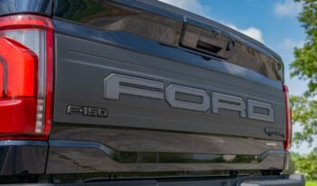 Ford F-150 Raptor con Raptor 37 (23)