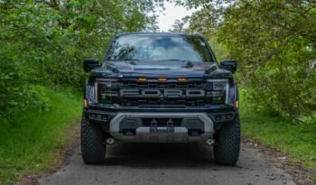 Ford F-150 Raptor con Raptor 37 (31)