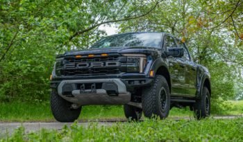Ford F-150 Raptor con Raptor 37 (33)