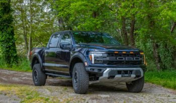 Ford F-150 Raptor con Raptor 37 (52)