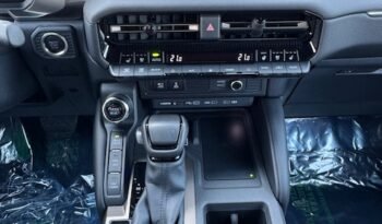 Land Cruiser 250 AWD (14)