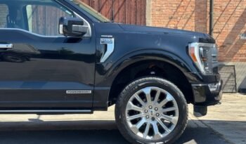 Ford F150 Limited Hybrid (4)