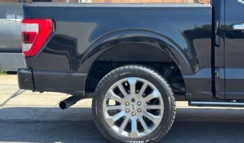 Ford F150 Limited Hybrid (5)